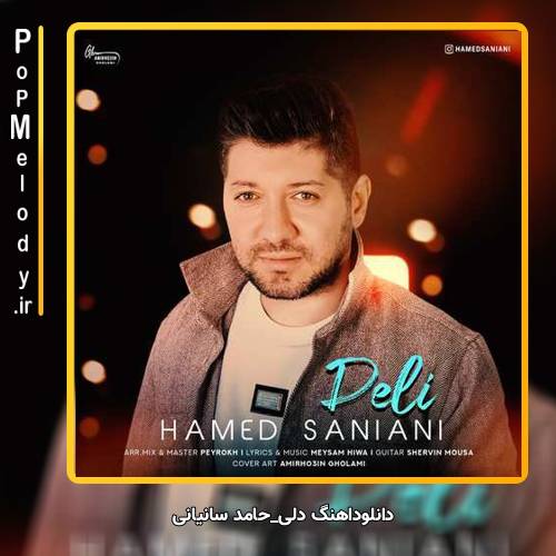 دانلود آهنگ حامد سانیانی دلی